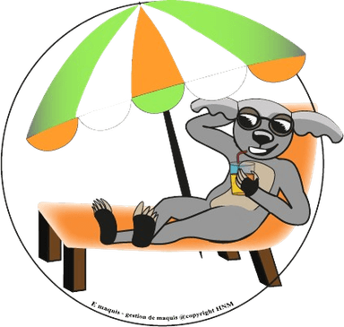 Emaquis logo